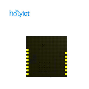 Holyiot Nordic NRF52832 Bluetoothビーコン長距離送信機モジュール - Product Image 6