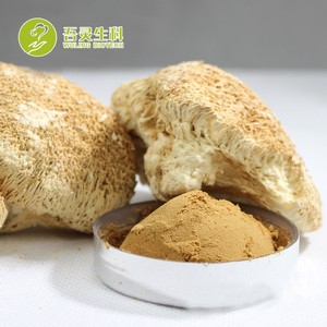 Fuente de la fábrica de los Leones Mane <span class=keywords><strong>Hericium</strong></span> <span class=keywords><strong>Erinaceus</strong></span> de polvo de extracto de - Product Image 2