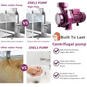 Pompe à eau haute pression haute capacité ZHELI pour l'irrigation agricole Bombas <span class=keywords><strong>De</strong></span> Agua Para El Riego Agricola Bombas Agrícolas - Product Image 4