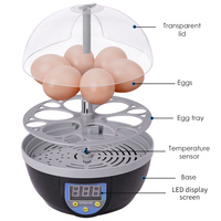 Nouveau Type incubateur à taux d'éclosion élevé Six œufs pour poulet canard Mini incubateurs d'œufs à couver domestiques