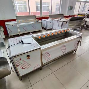 Meilleur <span class=keywords><strong>prix</strong></span> – Équipement automatique de lavage et de pelage de fruits et légumes à grande capacité et alimentation continue pour ligne de production d'aliments surgelés - Product Image 5
