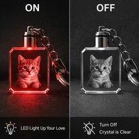 Porte-clés personnalisé en cristal, Logo Laser 3d vierge, cadeau populaire, pièces