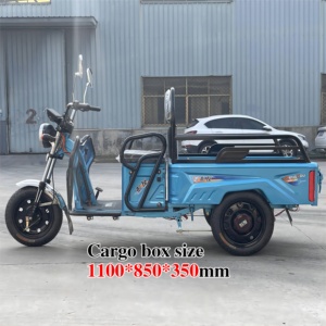 รถสามล้อไฟฟ้า2024 EEC E-Rickshaw 500กก. จักรยานไฟฟ้าทรงตัว <span class=keywords><strong>GM110</strong></span> - Product Image 3
