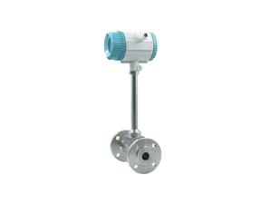 可変面積式空気・ガス流量計 ステンレス鋼 +/-1% - Product Image 2