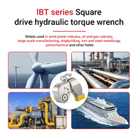 Llave Dinamométrica Hidráulica Portátil WREN 3IBT, de Alta Precisión y Torque, en Aleación de Aluminio y Titanio, 700 bar, 451-4512 N.m, 22-48 mm