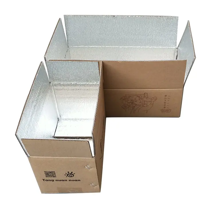 Caixas de envio de alimentos congelados, caixas térmicas isoladas para alimentos com isolamento
