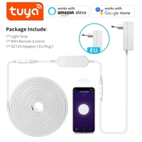 Bande lumineuse LED Tuya Smart Life 120LEDs/M, tube flexible, lampe à corde, DC12V SMD 2835, contrôle WIFI et USB, fonctionne avec Alexa et Google Home