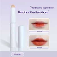 Nouveauté : Pinceau à lèvres multifonctionnel en fibres synthétiques à poils doux, tête ronde, manche en plastique pour rouge à lèvres, anticernes et maquillage des lèvres
