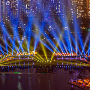 عرض إضاءة ليزر للموسيقى والرسوم المتحركة RGB ملونة داخلية احترافية بسعر المصنع - Product Image 6