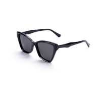 Lunettes de soleil unisexes Elan Optical SYB6205, monture œil de chat tendance, sans peinture, monture en acétate naturel parfumé