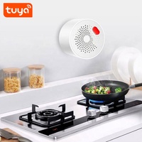 Chine Fabricant UE/UK/US Sans Fil WiFi Tuya Smart Capteur De Gaz PST-RQ400A