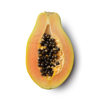 Hoge kiembaarheid 99% zuiverheid Gele Vlees Papaya F1 Hybride Variëteit voor grootschalige landbouw Verse marktvoorraad Exportkwaliteit