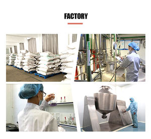 Поставка натурального порошка экстракта черного ягоды, экстракт Черного ягоды - Product Image 3