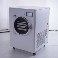 Déshydrateur Automatique Domestique avec Pompe à Vide pour la Transformation des Aliments Végétaux : Poivron Doux, Piment, Persil, Coriandre