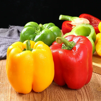 Proharvest OEM Brands Légumes surgelés IQF, Lanières de poivron jaune, Tranches de capsicum jaune surgelées, avec BRC