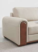 Gran oferta de fábrica, muebles modernos, sofás de sala de estar, juego de cama, sofá de cuero, sofá cama Seccional de 2 y 3 plazas