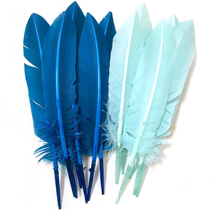 Plumes de plume de dinde teintées du fournisseur d'<span class=keywords><strong>accessoires</strong></span> de carnaval pour les plumes de chapellerie de Costumes dans des formes de nombre - Product Image 1