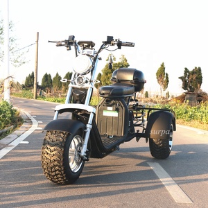 2000w 60v1 2ah/20ah batterie amovible citycoco fat tire 3 roues scooter électrique canada/tricycle/trike/vélo/<span class=keywords><strong>moto</strong></span> - Product Image 5