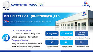 รอกโซ่จีน 9T อายุการใช้งานยาวนาน การผลิต VA-B-9T ที่ง่ายที่สุดในจีน - Product Image 6