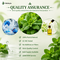 Huile Essentielle de Menthe Poivrée de Qualité Alimentaire Chinoise 100% Pure et Biologique pour Diffuseur Sans Eau, Extrait de Feuille de Menthe Piperita en Vrac