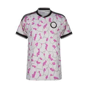 Maillots de football thaïlandais Chileas 26-27, tenue de football, <span class=keywords><strong>maillot</strong></span> extérieur, nouvelle saison, <span class=keywords><strong>maillot</strong></span> de <span class=keywords><strong>club</strong></span>, <span class=keywords><strong>maillot</strong></span> de football d'équipe, Camiseta De Futbol - Product Image 2