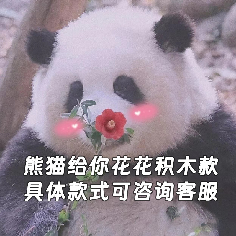 M1058 Offrande de fleurs de panda [487 pièces] Boîte de couleur