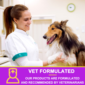 Complément alimentaire pour animaux de compagnie Oimmal, soutien de l'immunité, de la digestion, des articulations et de la santé cardiaque, multivitamines pour chiens 15 en 1, comprimés multivitaminés - Product Image 6