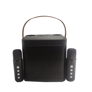 Altavoz de <span class=keywords><strong>karoke</strong></span> inalámbrico portátil profesional con micrófono Altavoz inalámbrico de karaoke Bluetooth para exteriores YS203 YS213 - Product Image 1