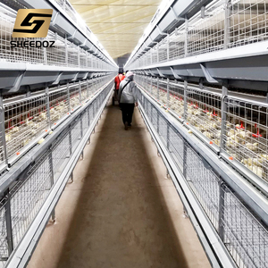 Nuova Gabbia Automatica Tipo H per Allevamento di Polli in Acciaio Zincato Multifunzionale per Galline Ovaiole e Polli da Carne - Product Image 4