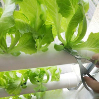 Balcon Machine de plantation de légumes Système hydroponique multi-niveaux mural Trou de drainage Culture sans sol Pot de fleur