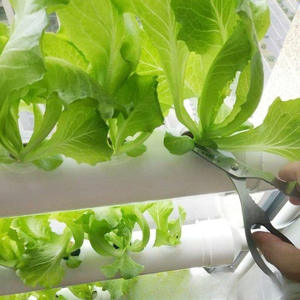 <span class=keywords><strong>Balcon</strong></span> Machine de plantation de légumes Système hydroponique multi-niveaux mural Trou de drainage Culture sans sol Pot de fleur - Product Image 4