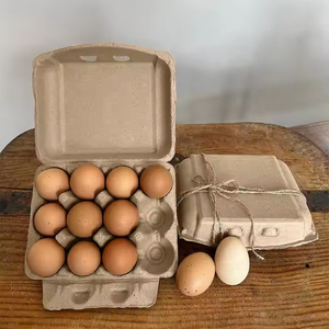 Cartons <span class=keywords><strong>à</strong></span> œufs en papier naturel biodégradables en gros pour poulets, barquettes et boîtes d'emballage réutilisables pour œufs - Product Image 4