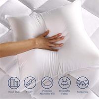 Insert de coussin décoratif en fibre de polyester, doux et moelleux, pour canapé, lit, chaise, OEM, ODM, vente en gros personnalisée