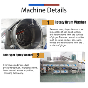 เครื่องสกัดน้ำขิงขนาด 0.5-2 ตัน/ชม. จากโรงงาน พร้อมสายการผลิตสำหรับล้างและแปรรูปขิง - Product Image 3