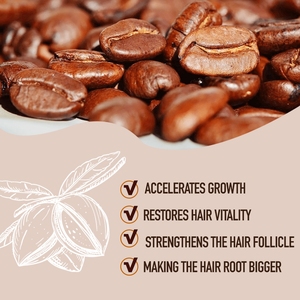 Champú y Acondicionador BEAVER de Marca Privada a Base de Hierbas con Biotina para Engrosar y Clarificar el Cabello, Sin Sulfatos, para el Crecimiento del Cabello - Product Image 3