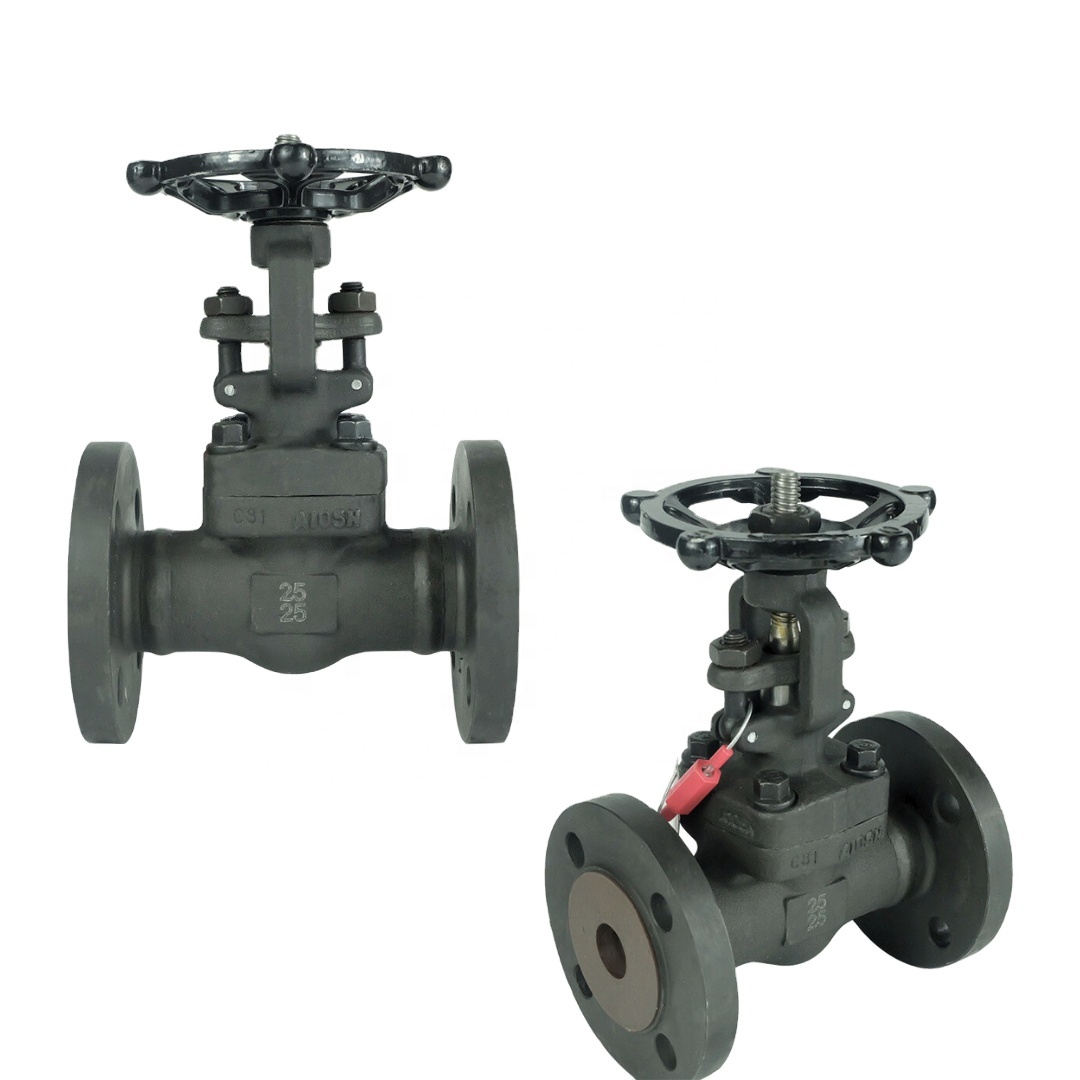 DKV Z41H-16C запорный клапан ASTM A105N ANSI 150/300 поднимающийся стержень кованая сталь фланцевый запорный клапан из углеродистой стали