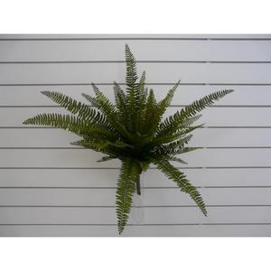 FELCE BUSH X52 73CM GR - Product Image 1