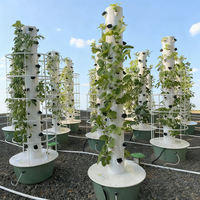 Système de culture hydroponique verticale à 5, 7, 9, 12, 15 niveaux, 20 à 60 plantes, système de culture hydroponique, tour d'aéroponie, tour hydroponique