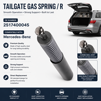 Molla a Gas Premium per Portellone Posteriore Ricambio Auto per Mercedes Benz Costruzione Robusta Nuovo di Zecca OE 2519801064
