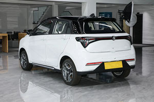 Nuevas llegadas <span class=keywords><strong>Mini</strong></span> coche vehículo eléctrico casa EVH Bliss 01 5 puertas 4 asientos Hatchback New Energy Car 48Ps 35Kw para la venta - Product Image 4