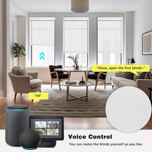 زينة منزلية ظلة بكرة كهربائية ذكية من المصنعين غرفة النوم - Product Image 6