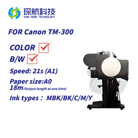 Plotter Reacondicionado, Impresora de Formato Grande para Oficina, 95% Usada, para Canon ImagePROGRAF TM-300