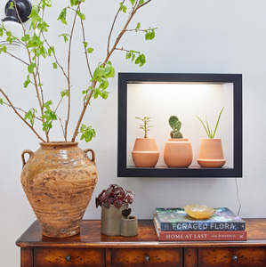 Kit di Coltivazione Moderni Biodegradabili ed Ecologici <span class=keywords><strong>per</strong></span> Casa e <span class=keywords><strong>Giardino</strong></span> - Product Image 4