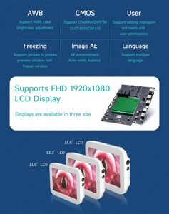 จอ<span class=keywords><strong>ภาพ</strong></span>โปรเซสเซอร์ภาพขนาด 11.6 นิ้วสำหรับโซลูชันการส่องกล้อง <span class=keywords><strong>ภาพ</strong></span>คมชัดระดับ Full HD - Product Image 6