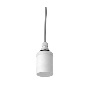 Sensor Ultrasónico Endress+Hauser FDU91 para Medición de Nivel y Flujo, Compatible con Bolas, IP68, Precisión +/-2mm, Alcance 10m - Product Image 3
