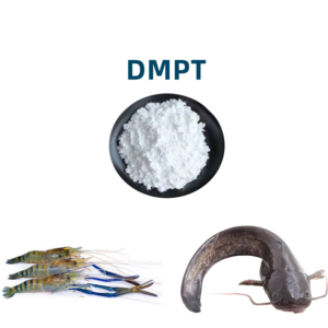 DMPT Feed Atrayente Promotor de crecimiento natural para acuicultura Mejora el apetito, reduce el estrés, mejora la supervivencia de los peces - Product Image 3