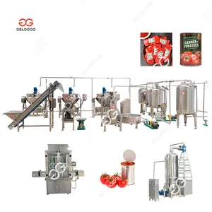 Turnkey Project 1000kg/h Concentrated Tomato Paste Processing Machine To Make Ketchup