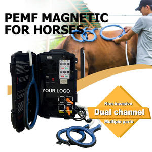 เครื่อง PEMF สำหรับม้าแบบสองช่องสัญญาณ สำหรับกายภาพบำบัดด้วยแม่เหล็กไฟฟ้า ช่วยเร่งการฟื้นตัวของบาดแผล - Product Image 1