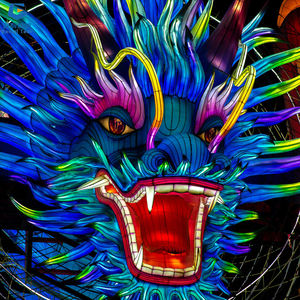 โคมไฟมังกรกันน้ำกลางแจ้ง SGFL073 โคมไฟเทศกาลหัวมังกรจีนสวยงามสีสันสดใส - Product Image 3