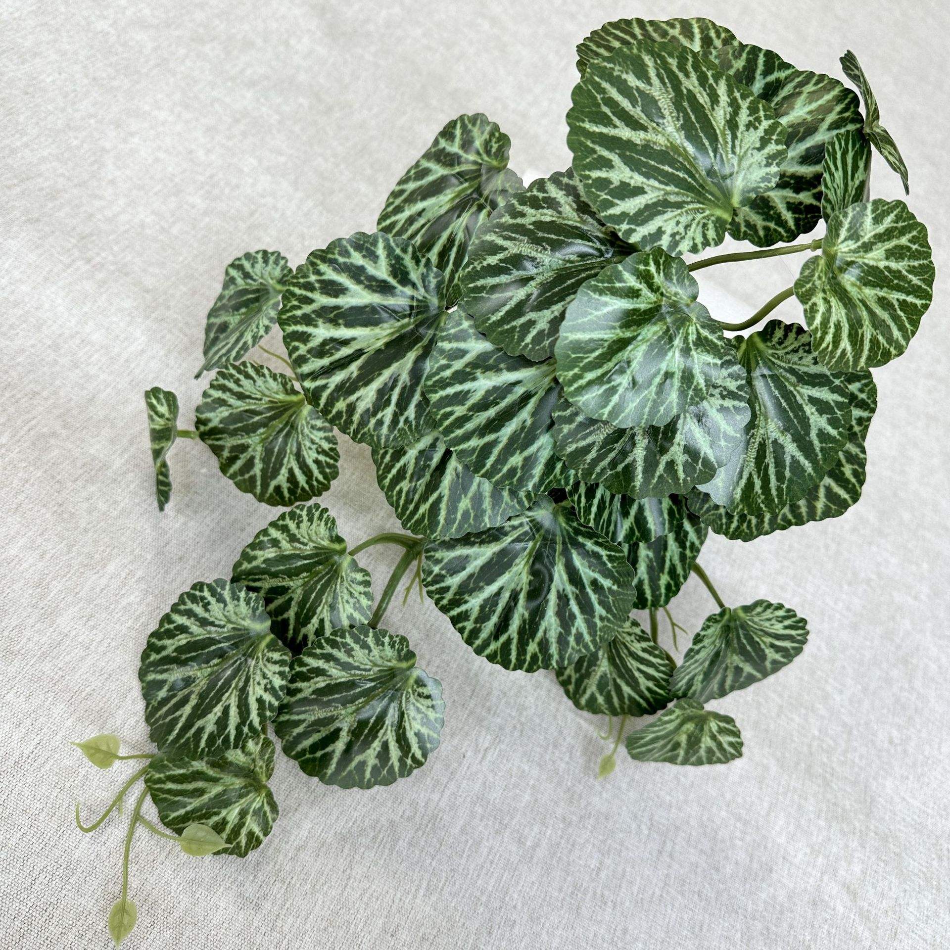 Motif blanc de feuille de béétel ronde